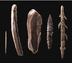 homo sapiens tools